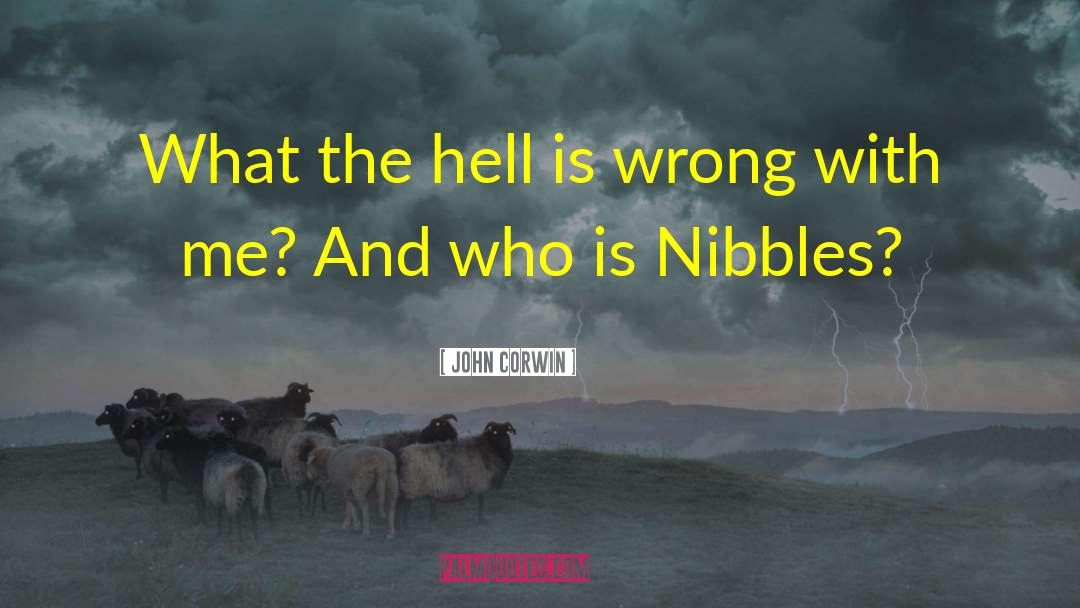 John Corwin Quotes: What the hell is wrong