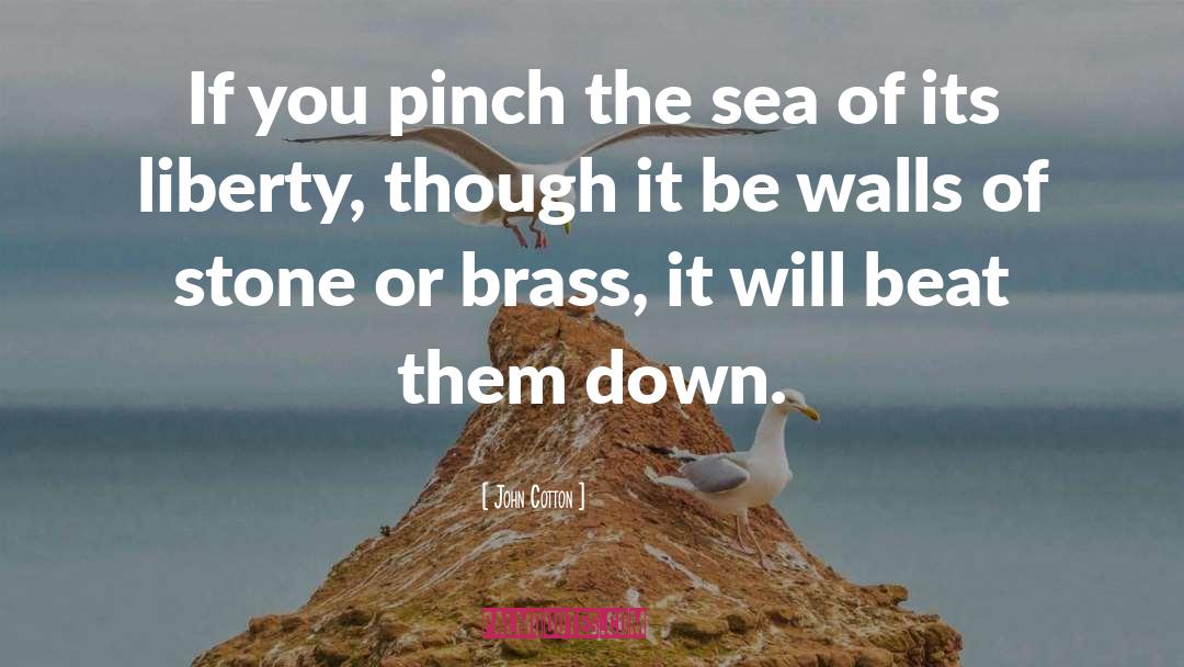 John Cotton Quotes: If you pinch the sea