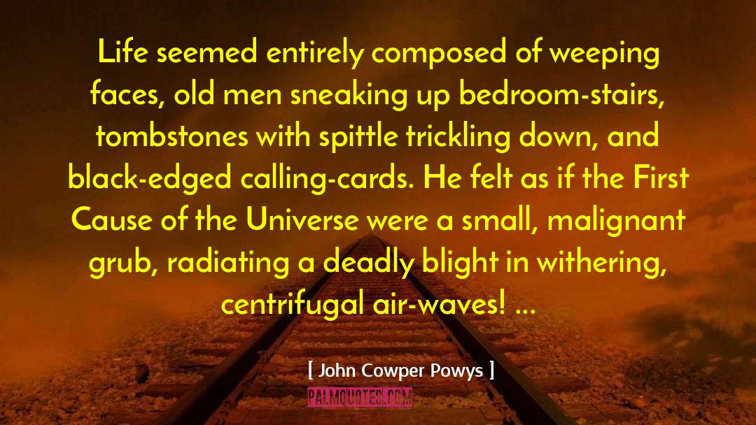 John Cowper Powys Quotes: Life seemed entirely composed of