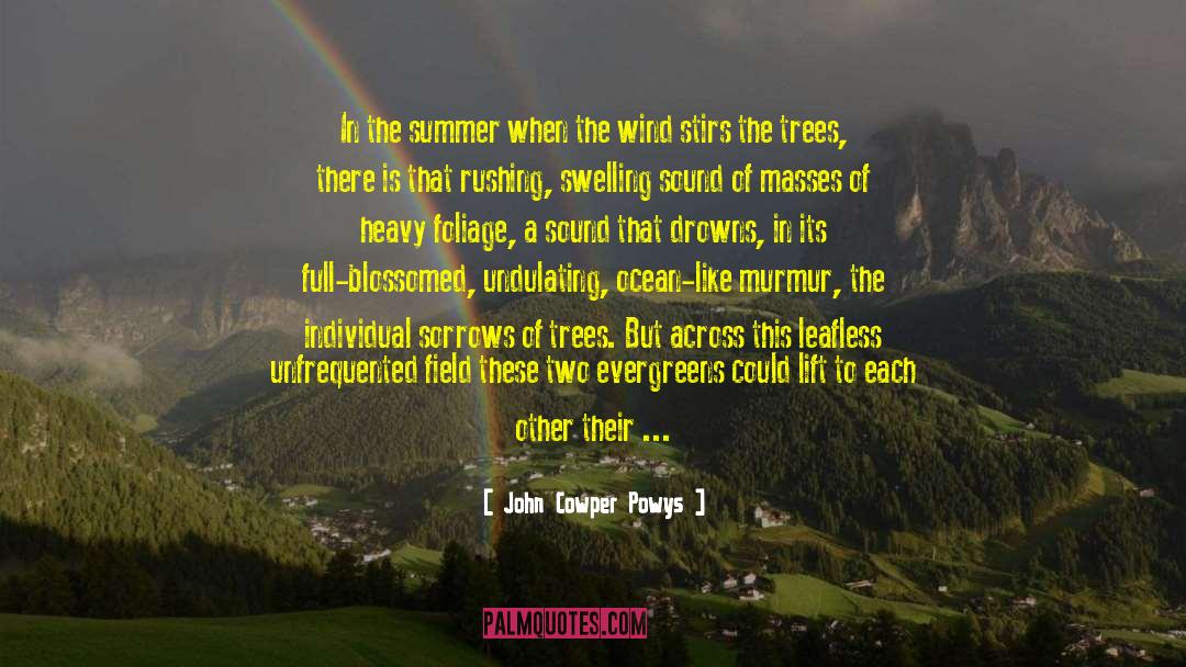 John Cowper Powys Quotes: In the summer when the