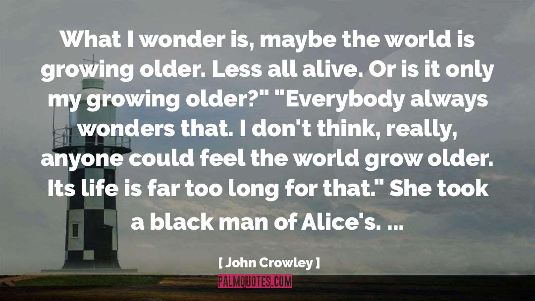 John Crowley Quotes: What I wonder is, maybe