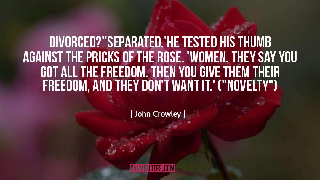 John Crowley Quotes: Divorced?'<br>'Separated.'<br>He tested his thumb against