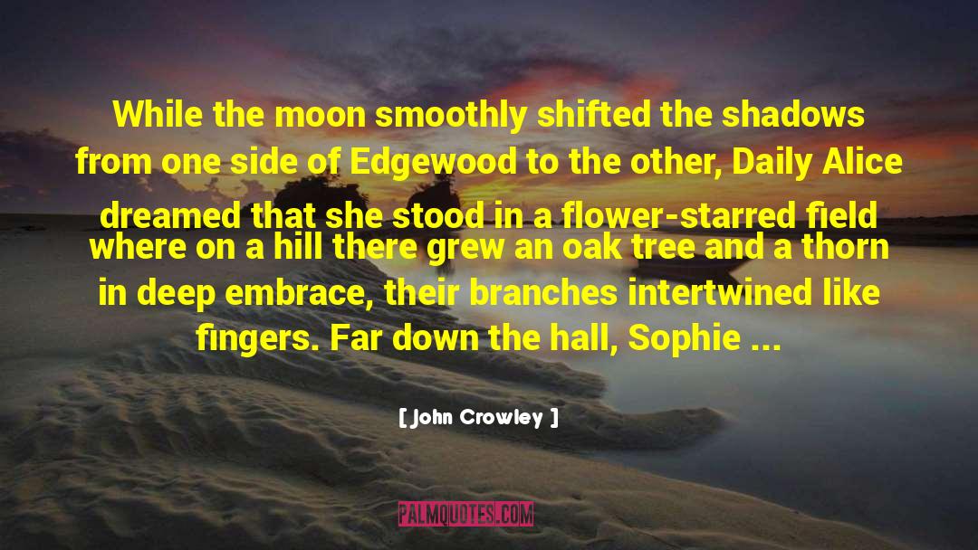 John Crowley Quotes: While the moon smoothly shifted
