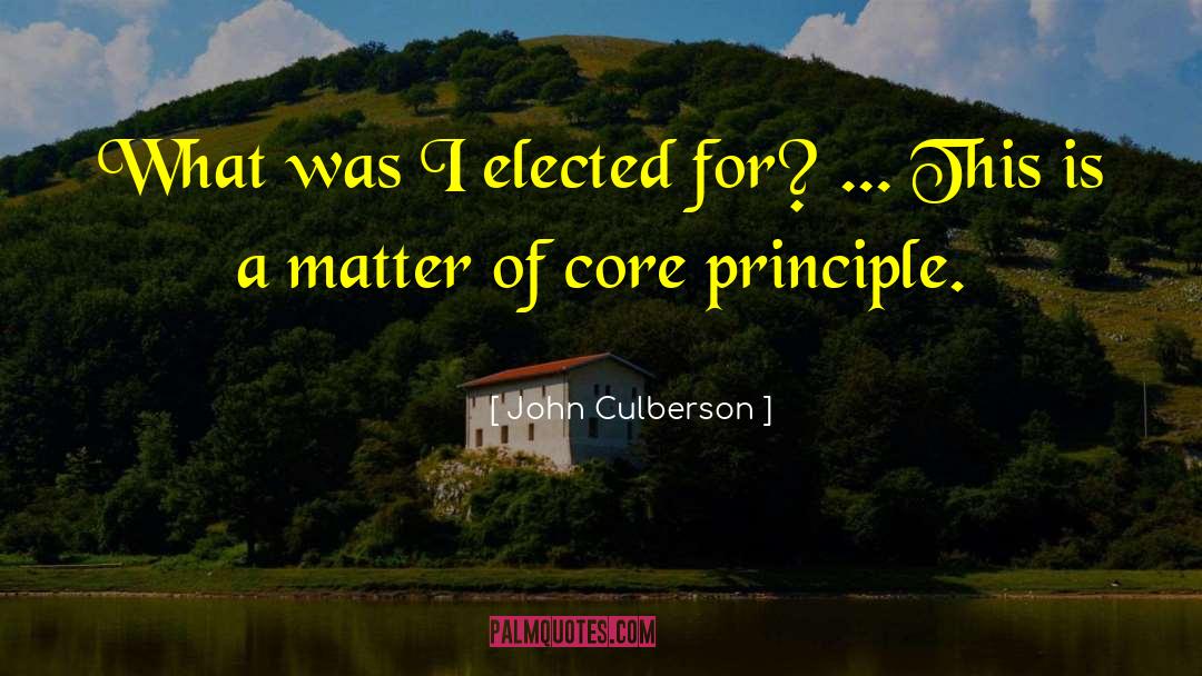 John Culberson Quotes: What was I elected for?