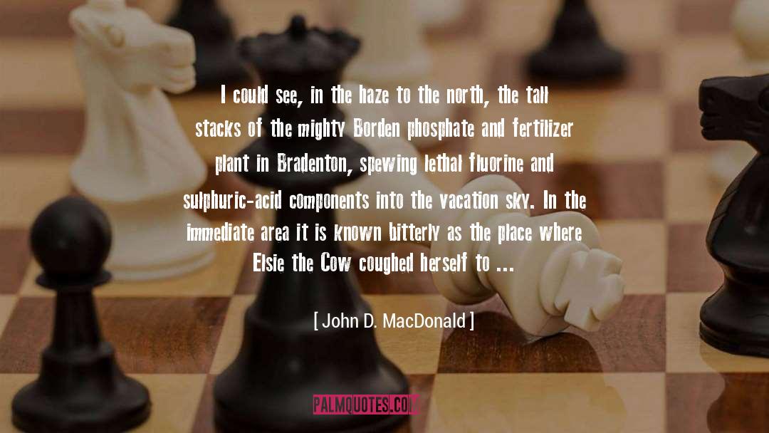 John D. MacDonald Quotes: I could see, in the