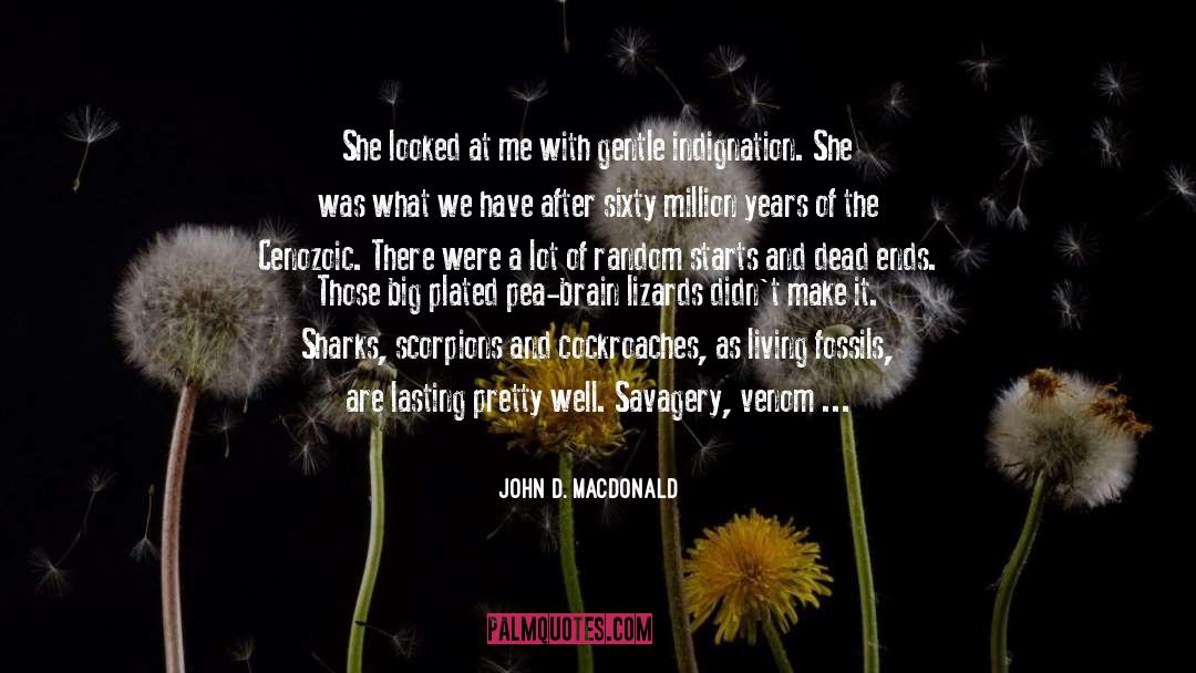 John D. MacDonald Quotes: She looked at me with