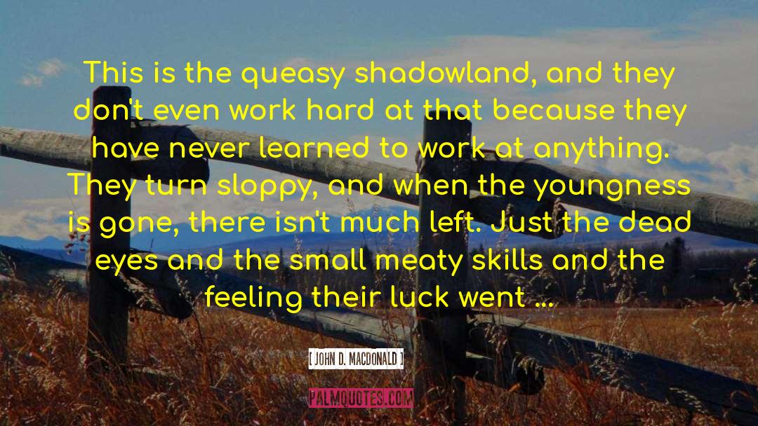 John D. MacDonald Quotes: This is the queasy shadowland,