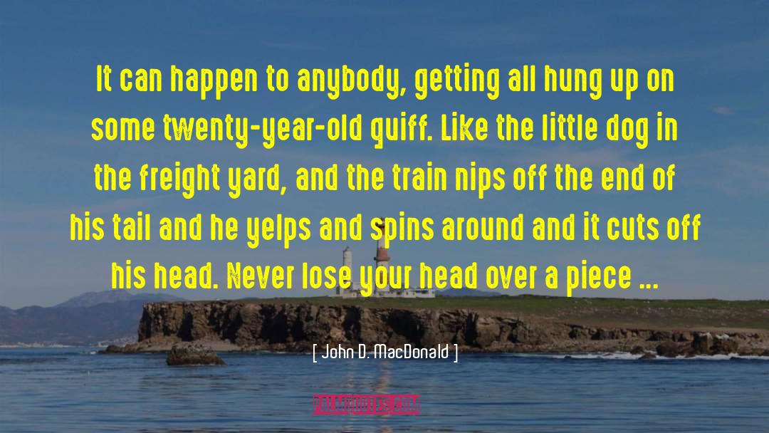 John D. MacDonald Quotes: It can happen to anybody,