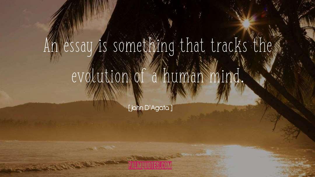 John D'Agata Quotes: An essay is something that