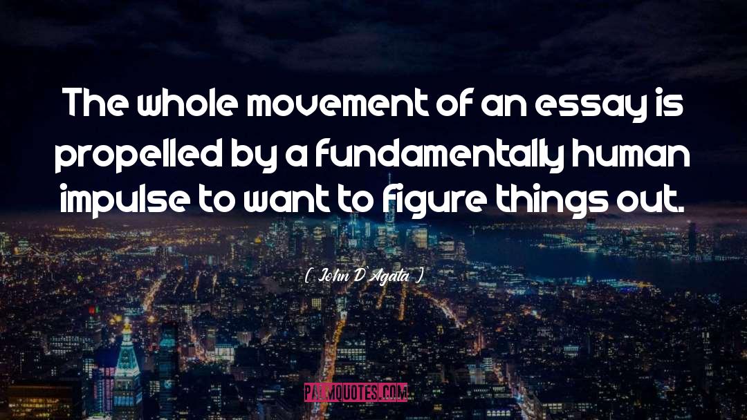 John D'Agata Quotes: The whole movement of an