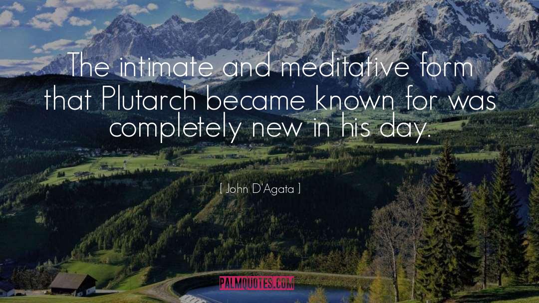 John D'Agata Quotes: The intimate and meditative form