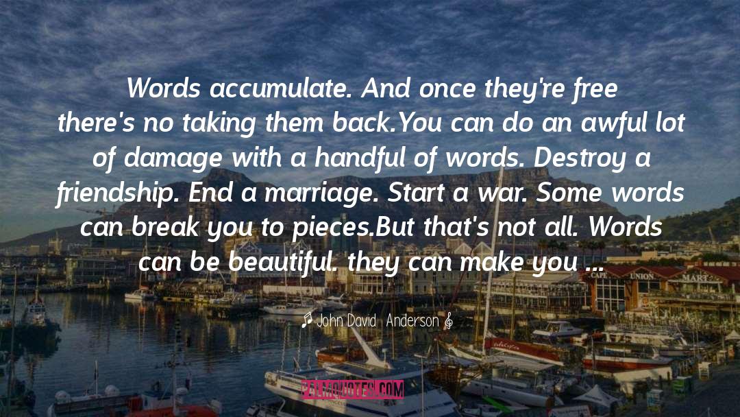 John David Anderson Quotes: Words accumulate. And once they're