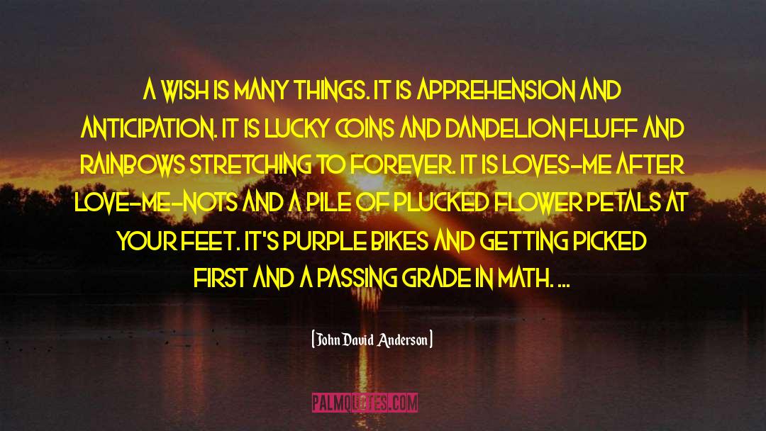 John David Anderson Quotes: A wish is many things.