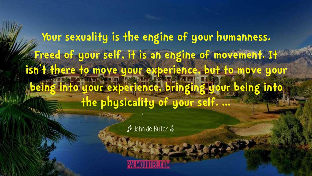 John De Ruiter Quotes: Your sexuality is the engine