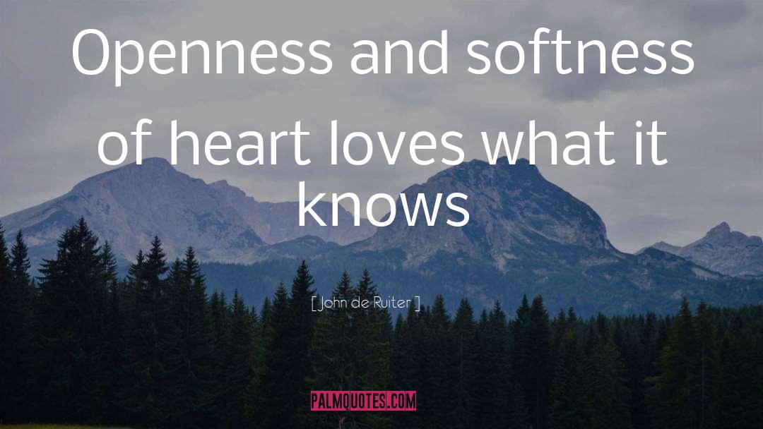 John De Ruiter Quotes: Openness and softness of heart