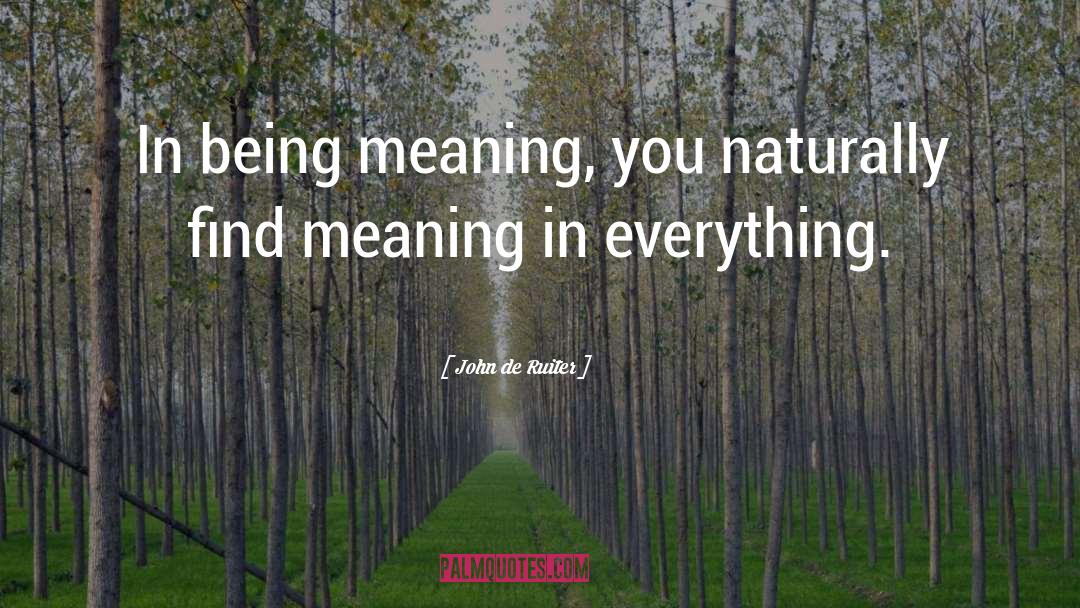 John De Ruiter Quotes: In being meaning, you naturally