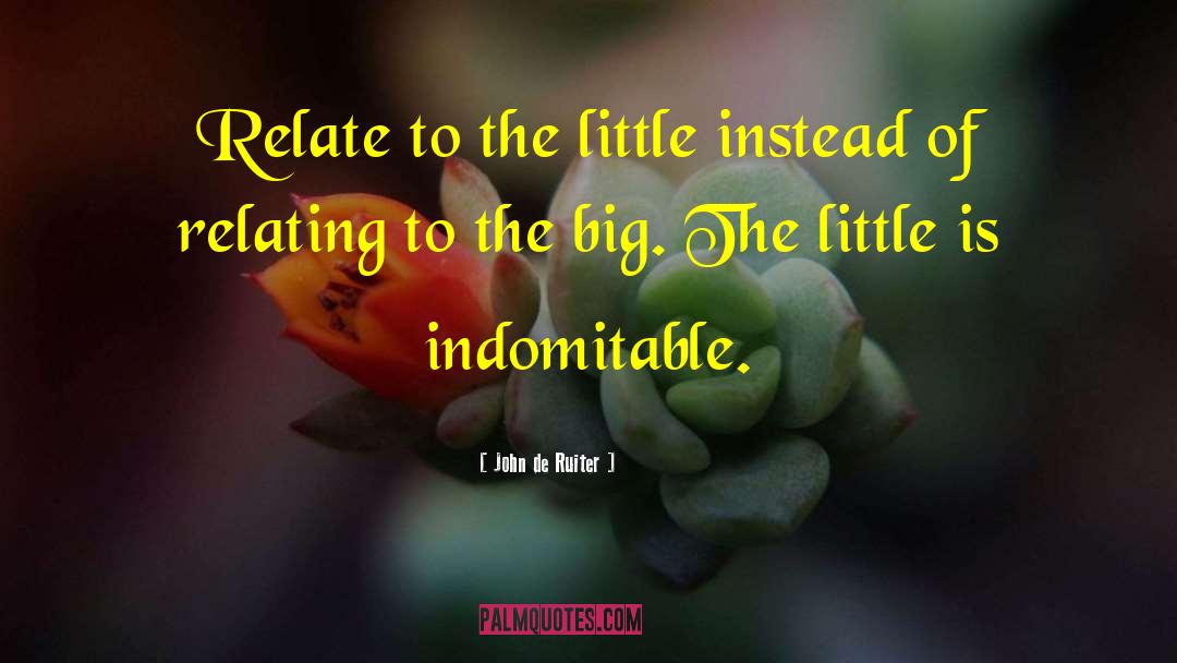John De Ruiter Quotes: Relate to the little instead