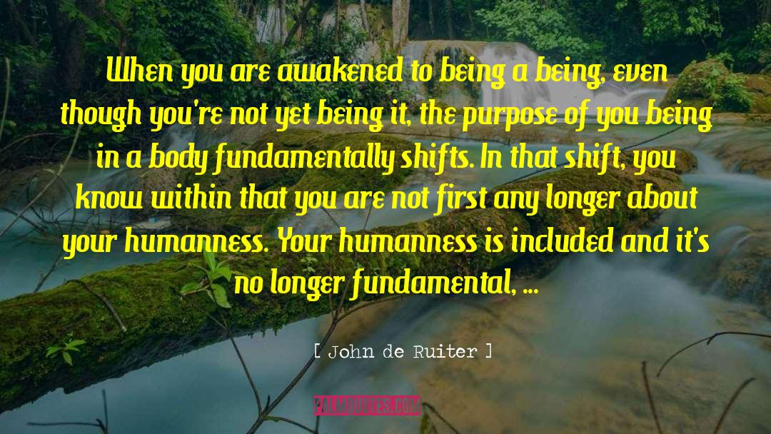 John De Ruiter Quotes: When you are awakened to