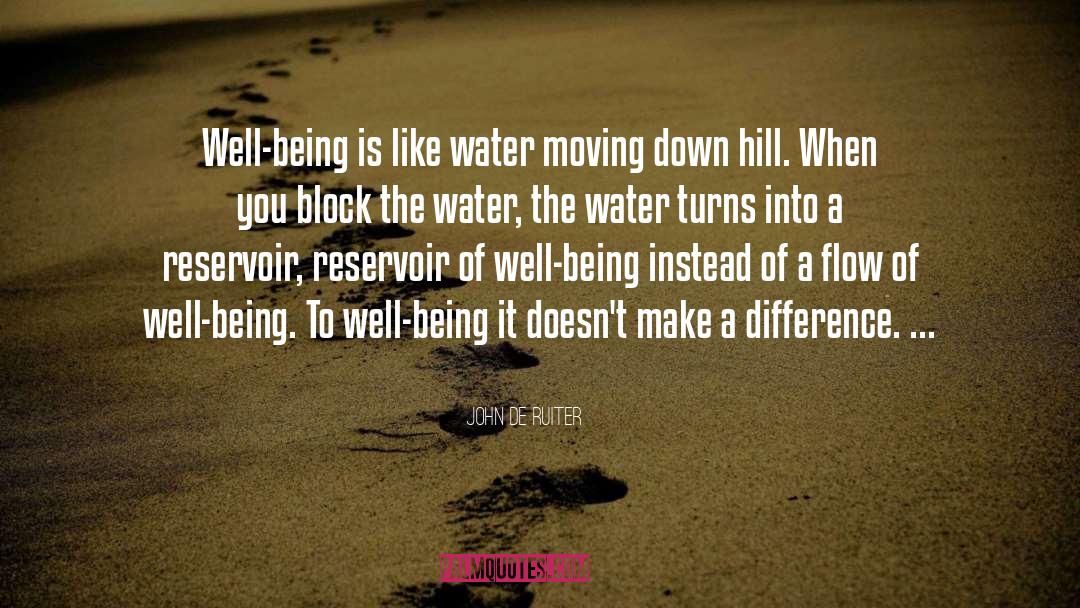 John De Ruiter Quotes: Well-being is like water moving