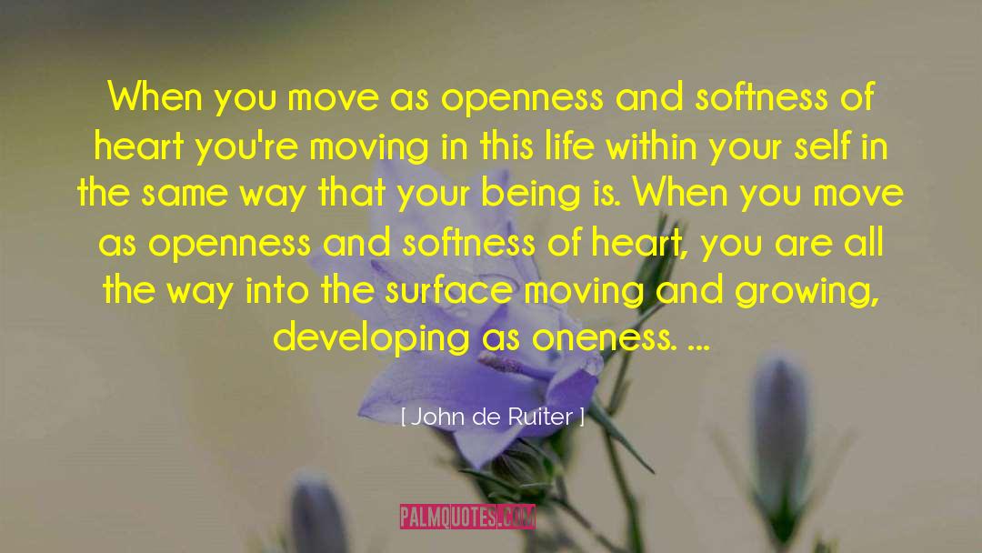 John De Ruiter Quotes: When you move as openness