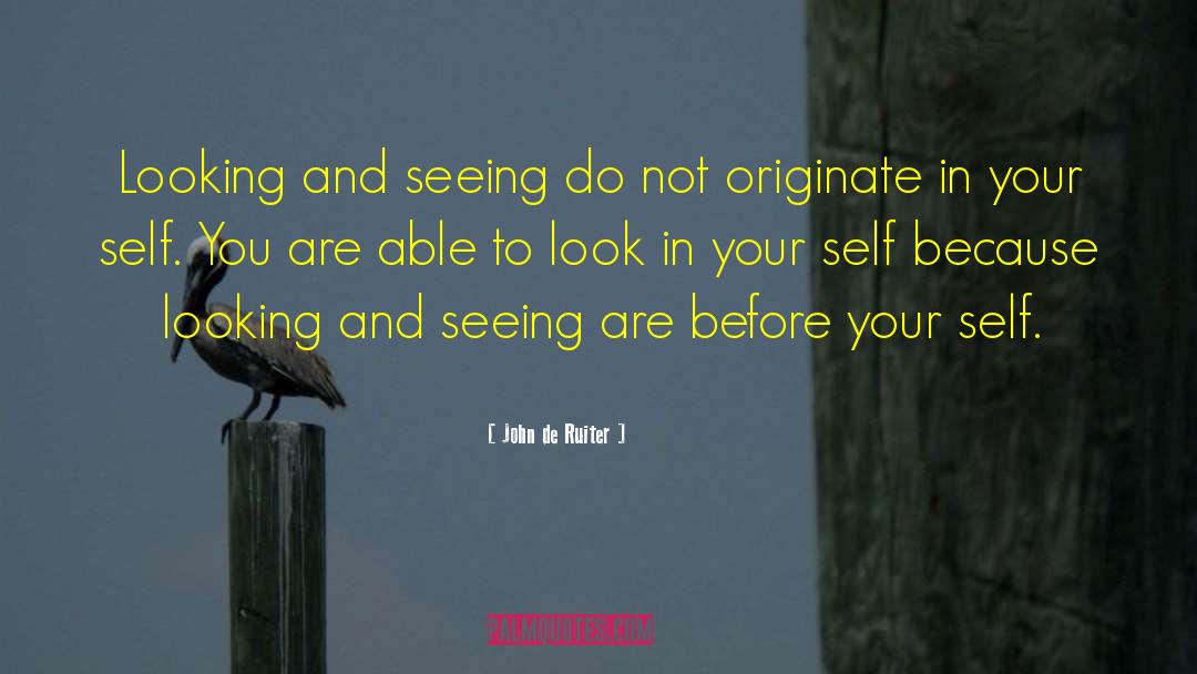 John De Ruiter Quotes: Looking and seeing do not