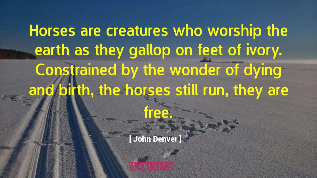 John Denver Quotes: Horses are creatures who worship