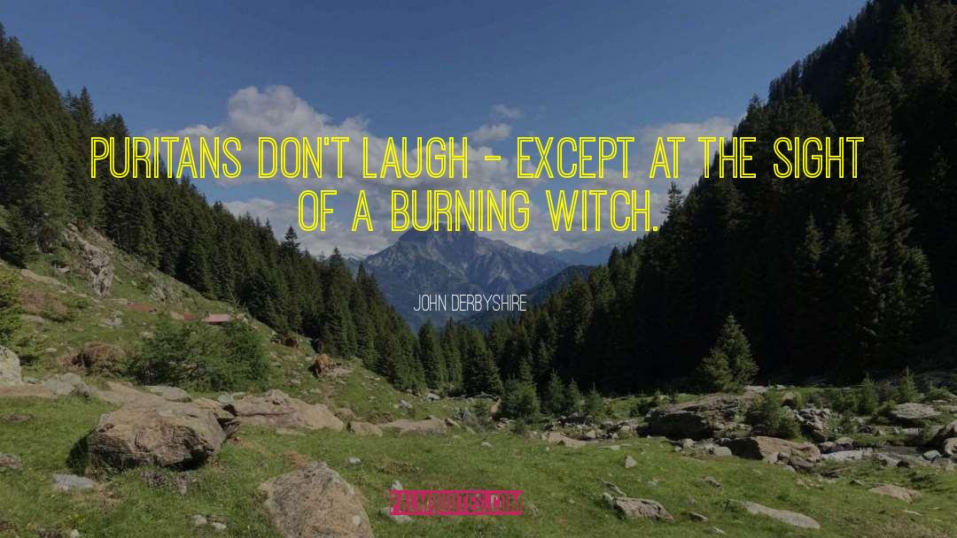 John Derbyshire Quotes: Puritans don't laugh - except