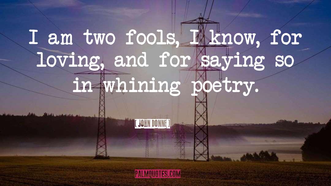 John Donne Quotes: I am two fools, I
