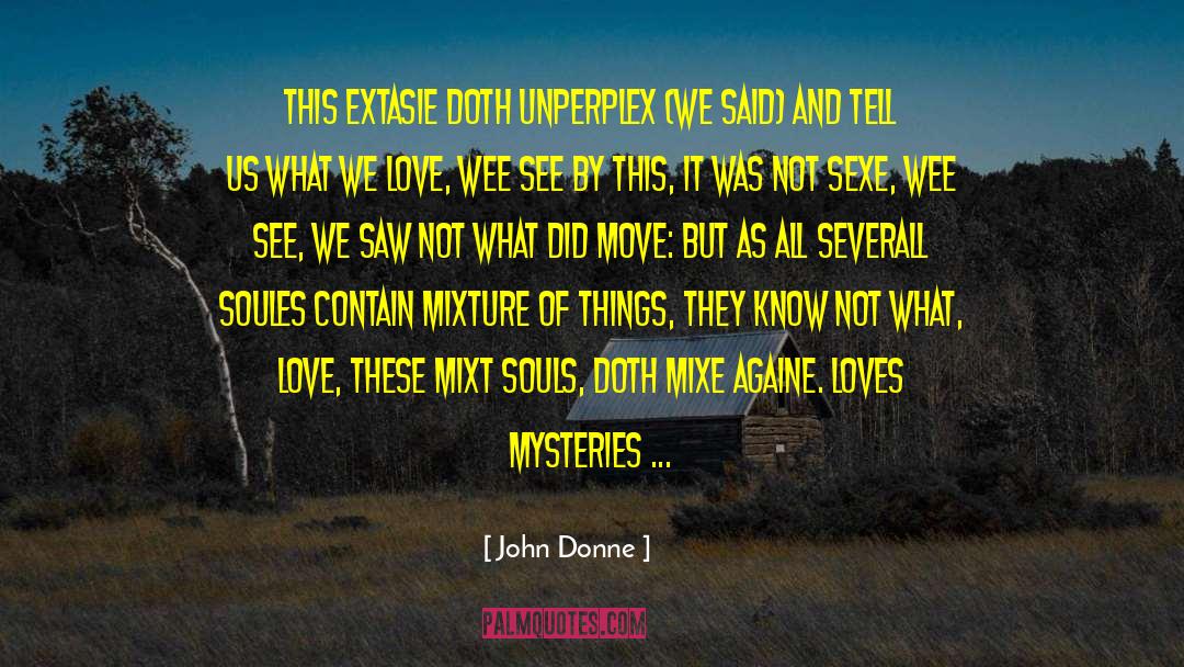 John Donne Quotes: This Extasie doth unperplex (We