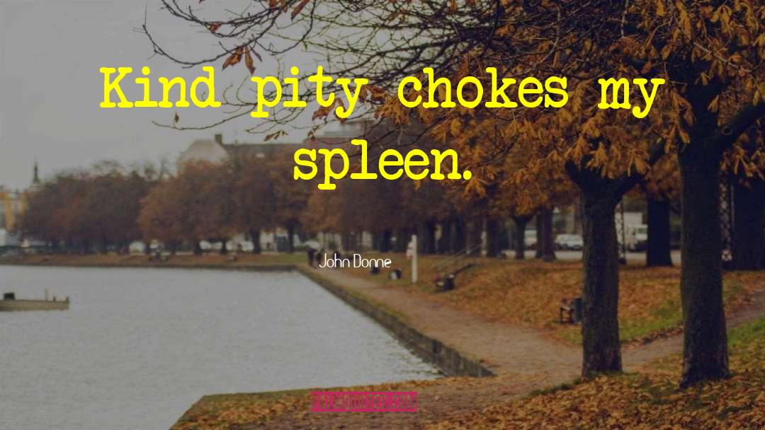 John Donne Quotes: Kind pity chokes my spleen.