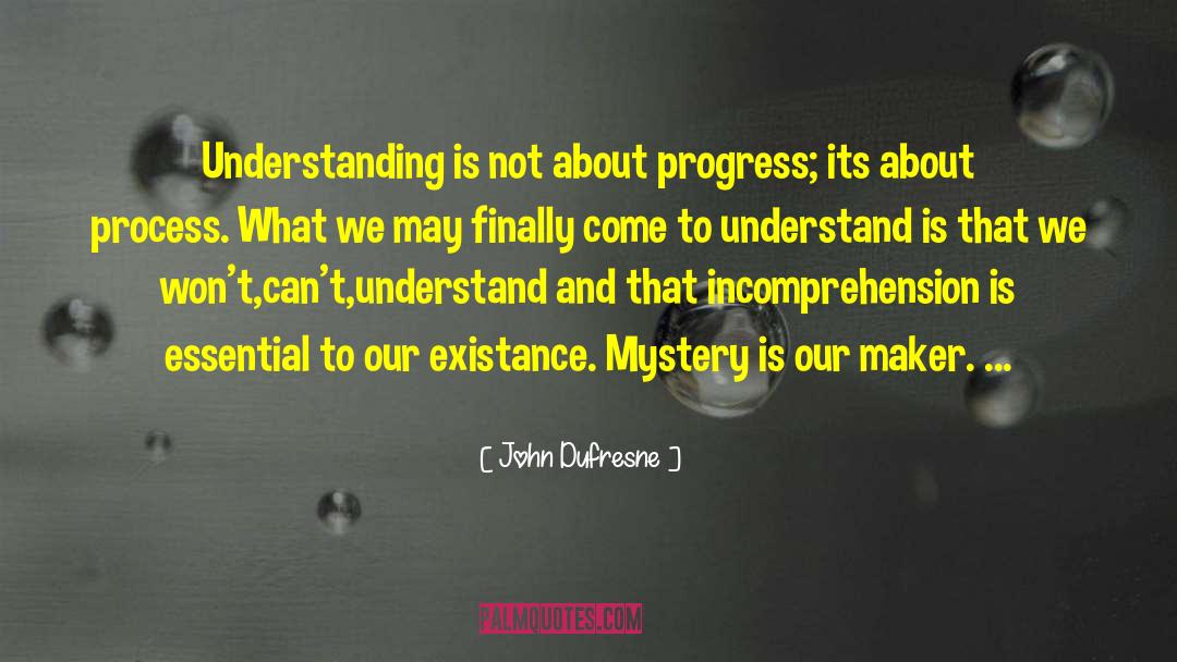 John Dufresne Quotes: Understanding is not about progress;