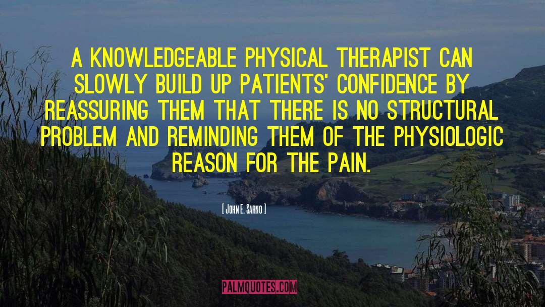 John E. Sarno Quotes: A knowledgeable physical therapist can