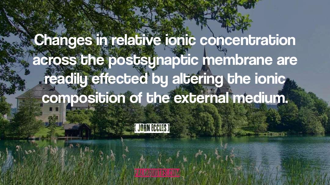 John Eccles Quotes: Changes in relative ionic concentration