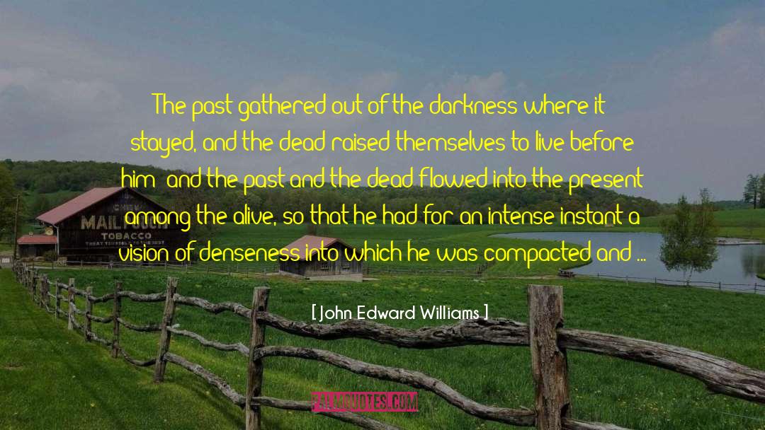 John Edward Williams Quotes: The past gathered out of