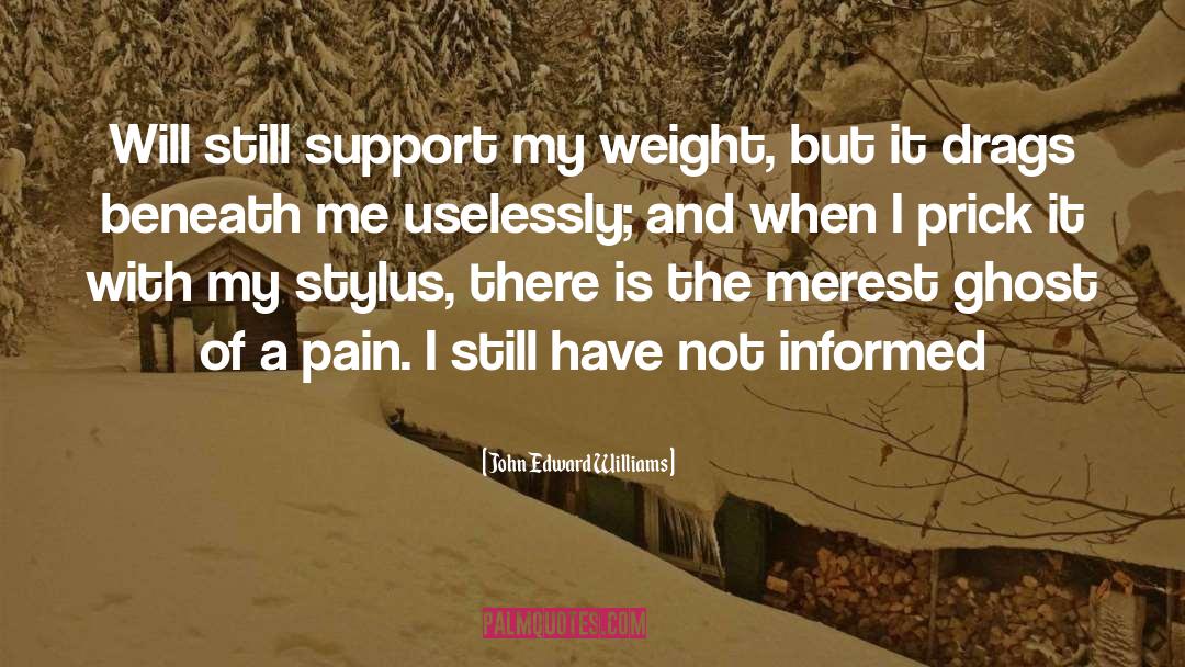 John Edward Williams Quotes: Will still support my weight,