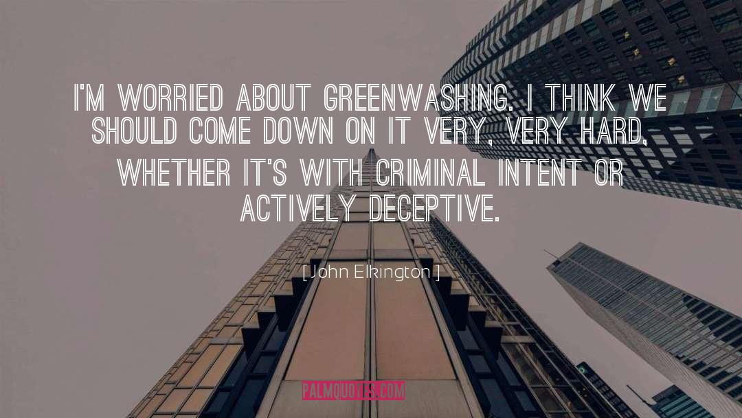 John Elkington Quotes: I'm worried about greenwashing. I