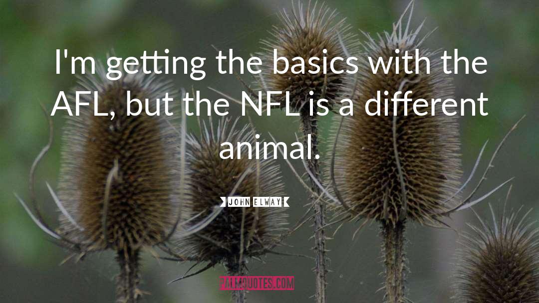 John Elway Quotes: I'm getting the basics with