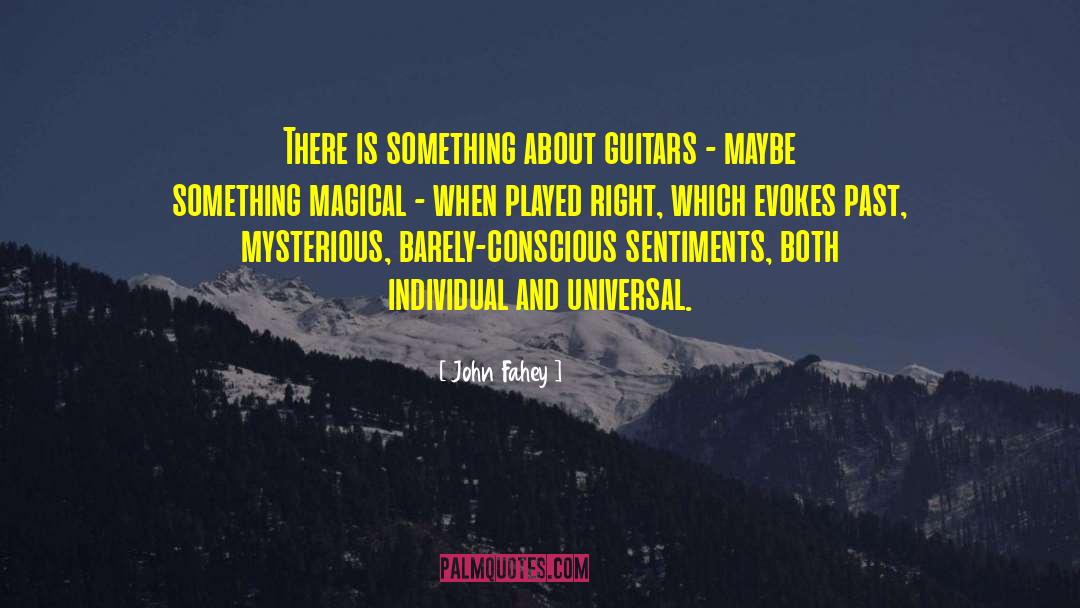 John Fahey Quotes: There is something about guitars