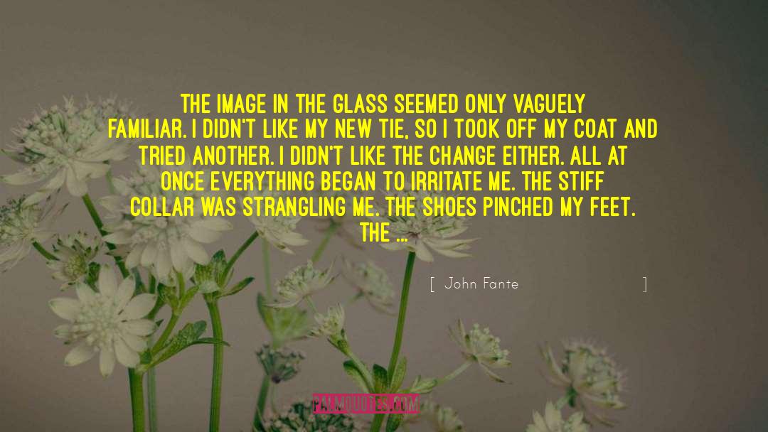 John Fante Quotes: The image in the glass