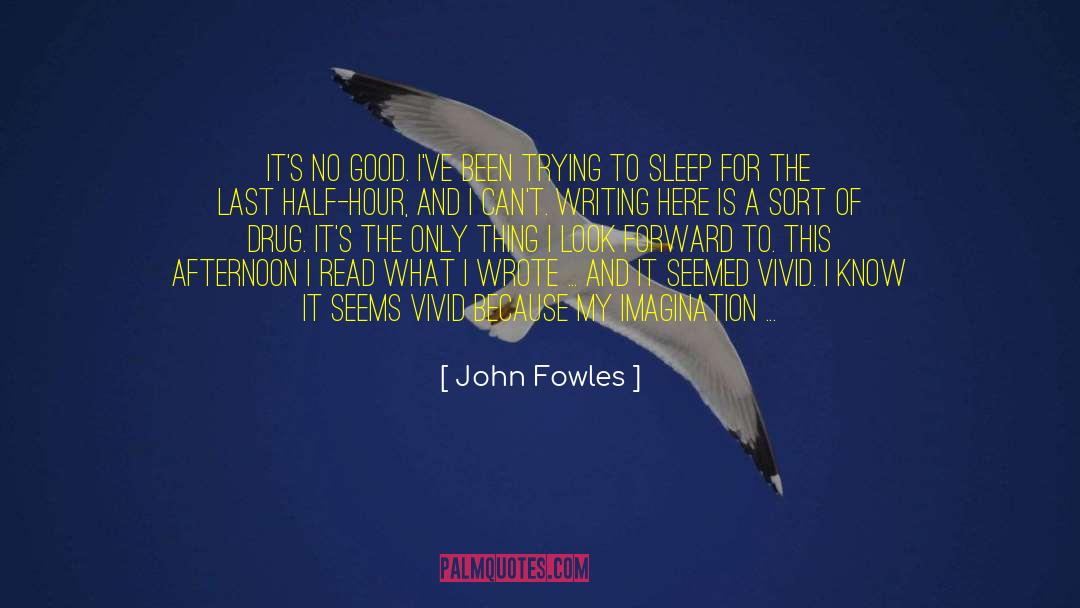 John Fowles Quotes: It's no good. I've been