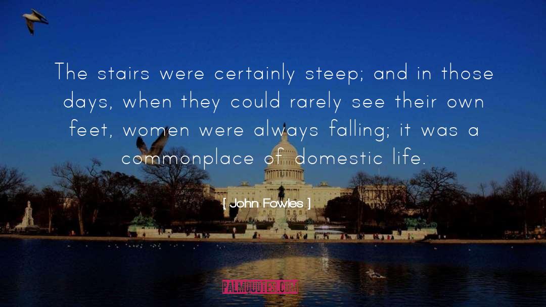 John Fowles Quotes: The stairs were certainly steep;