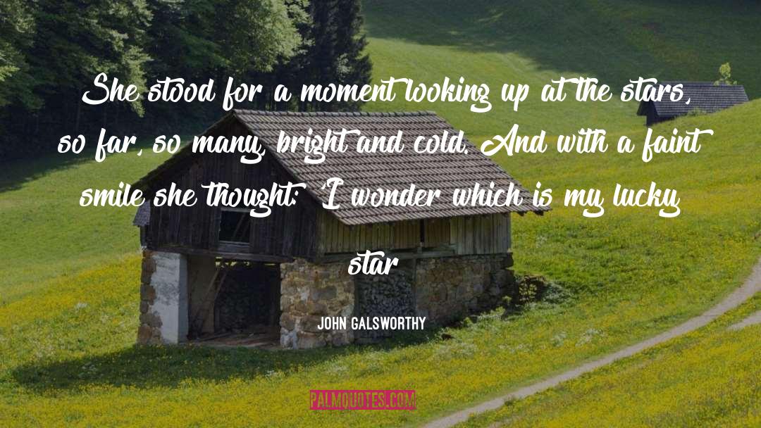 John Galsworthy Quotes: She stood for a moment