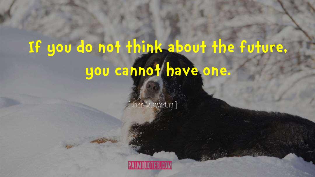 John Galsworthy Quotes: If you do not think