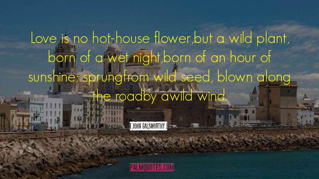 John Galsworthy Quotes: Love is no hot-house flower,<br>but