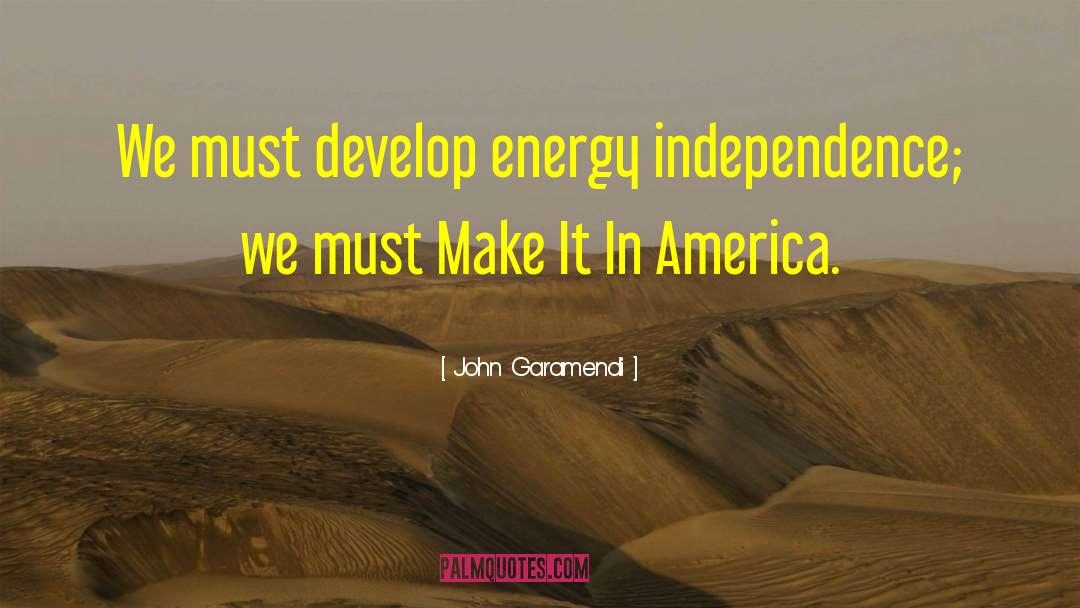 John Garamendi Quotes: We must develop energy independence;