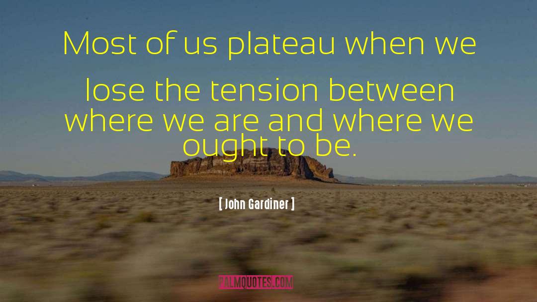 John Gardiner Quotes: Most of us plateau when