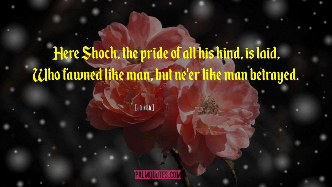 John Gay Quotes: Here Shock, the pride of