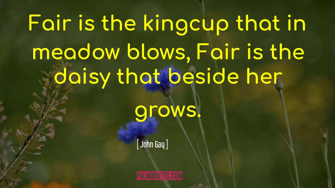 John Gay Quotes: Fair is the kingcup that