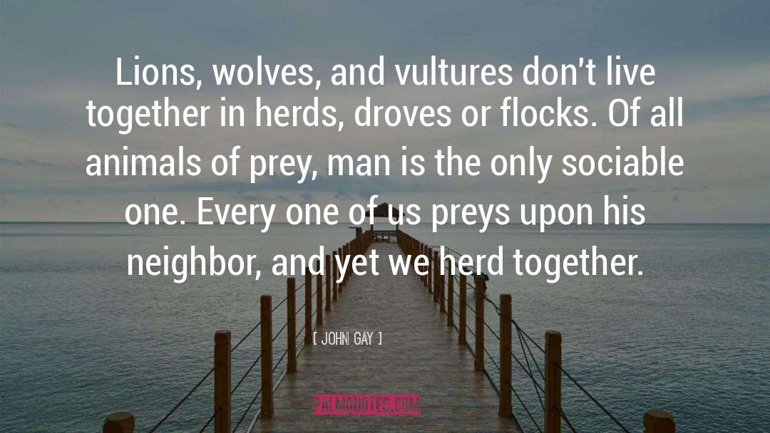 John Gay Quotes: Lions, wolves, and vultures don't