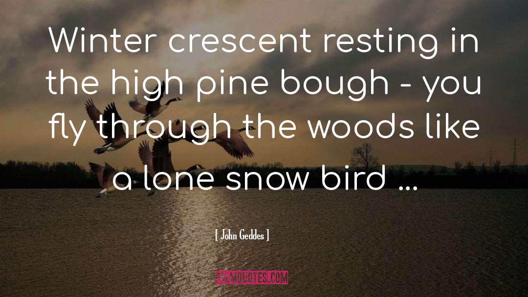 John Geddes Quotes: Winter crescent resting in the